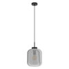 Eglo hanglamp BULCIAGO klein / Titanium glas
