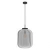Eglo hanglamp BULCIAGO groot / Titanium glas