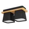 Eglo RUSCIO plafonlamp 2-lichts