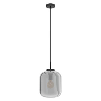 Eglo hanglamp BULCIAGO klein / Titanium glas