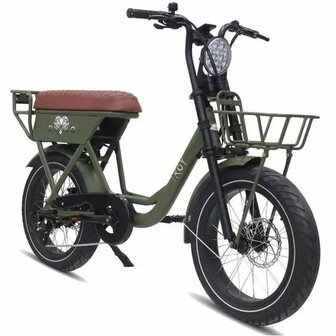 Diablo elektrische fatbike TROY matt-green