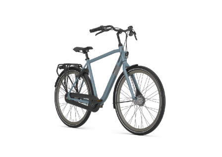 Gazelle Esprit stadsfiets diverse soorten