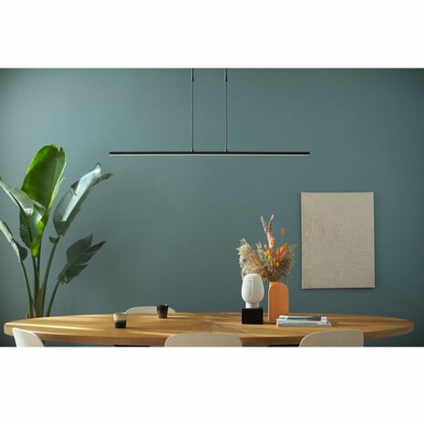 Steinhauer hanglamp Zelena 1482ZW Zwart