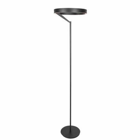 Steinhauer vloerlamp Mykty 4201ZW